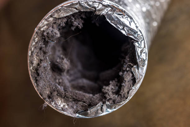 Best Commercial HVAC Duct Cleaning  in Carrington, ND